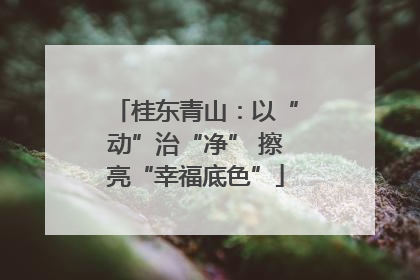桂东青山：以“动”治“净” 擦亮“幸福底色”