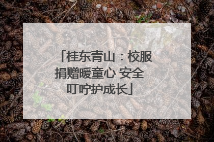桂东青山：校服捐赠暖童心 安全叮咛护成长