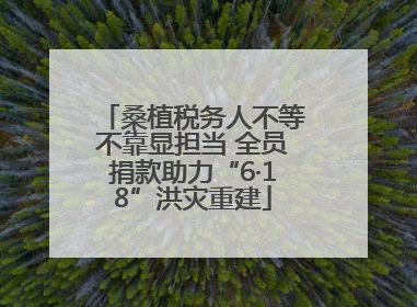 桑植税务人不等不靠显担当 全员捐款助力“6·18”洪灾重建
