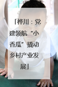 桦川：党建领航“小香瓜”撬动乡村产业发展