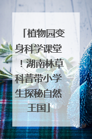 植物园变身科学课堂！湖南林草科普带小学生探秘自然王国