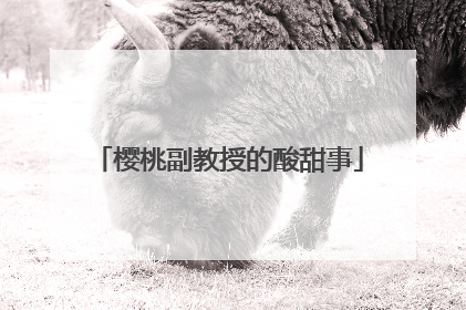 樱桃副教授的酸甜事
