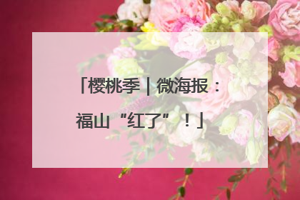 樱桃季｜微海报：福山“红了”！