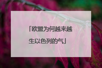 欧盟为何越来越生以色列的气