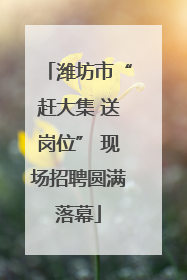 潍坊市“赶大集 送岗位” 现场招聘圆满落幕