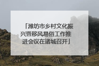 潍坊市乡村文化振兴暨移风易俗工作推进会议在诸城召开