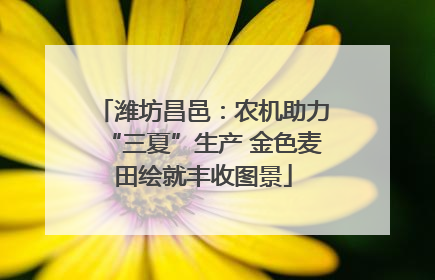潍坊昌邑：农机助力“三夏”生产 金色麦田绘就丰收图景