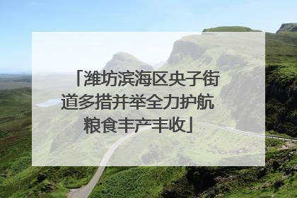 潍坊滨海区央子街道多措并举全力护航粮食丰产丰收