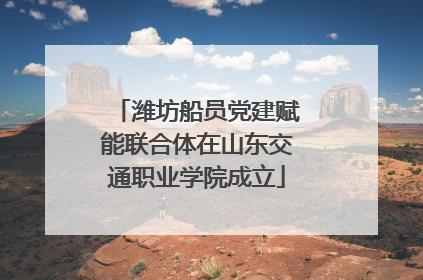 潍坊船员党建赋能联合体在山东交通职业学院成立