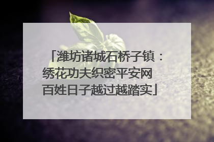 潍坊诸城石桥子镇：绣花功夫织密平安网 百姓日子越过越踏实