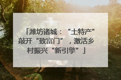 潍坊诸城：“土特产”敲开“致富门”，激活乡村振兴“新引擎”