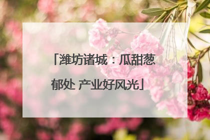 潍坊诸城：瓜甜葱郁处 产业好风光