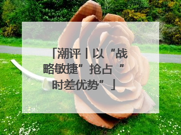 潮评丨以“战略敏捷”抢占“时差优势”