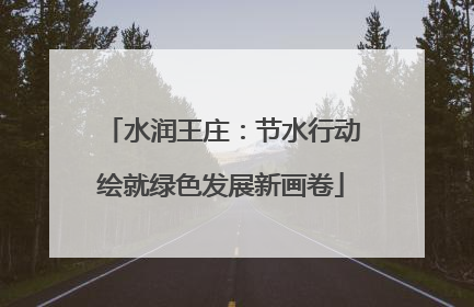 水润王庄：节水行动绘就绿色发展新画卷