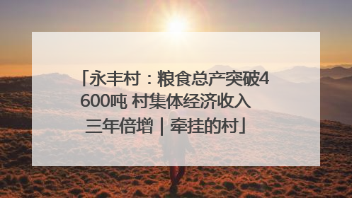 永丰村：粮食总产突破4600吨 村集体经济收入三年倍增｜牵挂的村