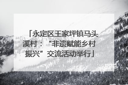 永定区王家坪镇马头溪村：“非遗赋能乡村振兴”交流活动举行