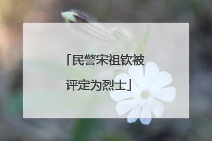 民警宋祖钦被评定为烈士