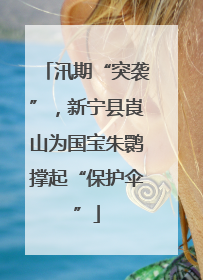 汛期“突袭”，新宁县崀山为国宝朱鹮撑起“保护伞”