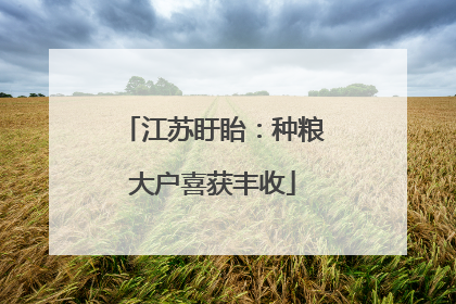 江苏盱眙：种粮大户喜获丰收