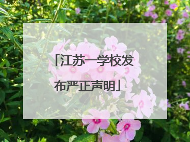 江苏一学校发布严正声明