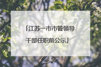江苏一市市管领导干部任职前公示
