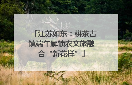江苏如东：栟茶古镇端午解锁农文旅融合“新花样”