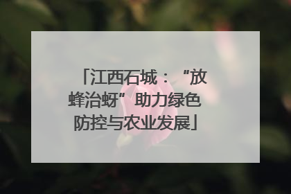 江西石城：“放蜂治蚜”助力绿色防控与农业发展