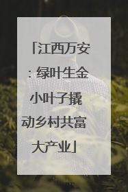 江西万安：绿叶生金 小叶子撬动乡村共富大产业