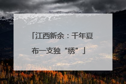 江西新余：千年夏布一支独“绣”
