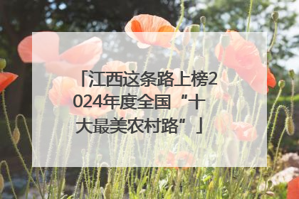 江西这条路上榜2024年度全国“十大最美农村路”