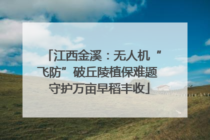 江西金溪：无人机“飞防”破丘陵植保难题 守护万亩早稻丰收