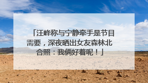 汪峰称与宁静牵手是节目需要，深夜晒出女友森林北合照：我俩好着呢！