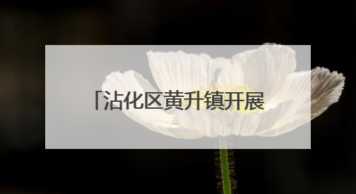 沾化区黄升镇开展“526我爱路”爱路护路宣传活动