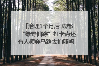 治理1个月后 成都“绿野仙踪”打卡点还有人横穿马路去拍照吗？｜民情瞭望