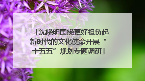 沈晓明围绕更好担负起新时代的文化使命开展“十五五”规划专题调研