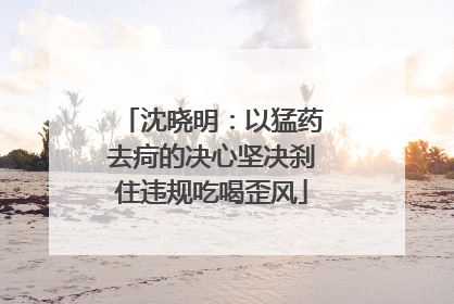沈晓明：以猛药去疴的决心坚决刹住违规吃喝歪风