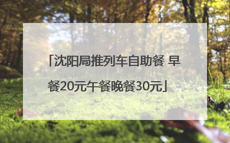 沈阳局推列车自助餐 早餐20元午餐晚餐30元
