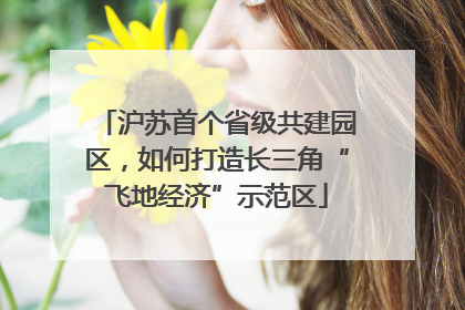 沪苏首个省级共建园区，如何打造长三角“飞地经济”示范区