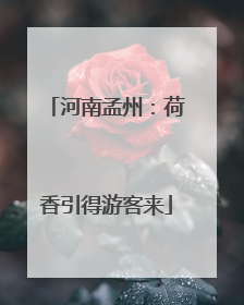 河南孟州：荷香引得游客来