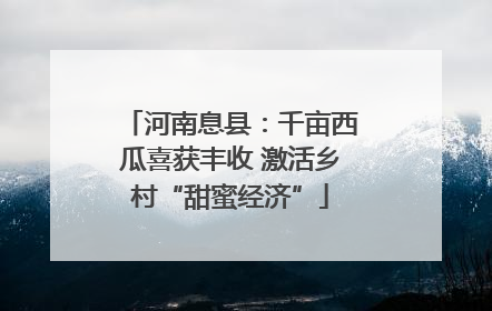 河南息县：千亩西瓜喜获丰收 激活乡村“甜蜜经济”