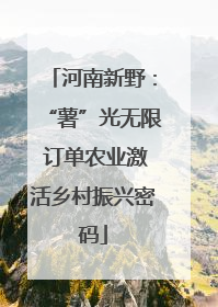 河南新野：“薯”光无限 订单农业激活乡村振兴密码