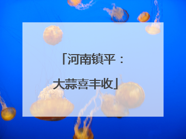 河南镇平：大蒜喜丰收