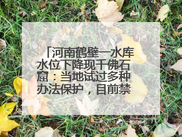 河南鹤壁一水库水位下降现千佛石窟：当地试过多种办法保护，目前禁止打卡
