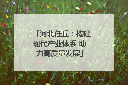 河北任丘：构建现代产业体系 助力高质量发展