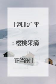 河北广平：樱桃采摘正当时