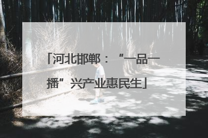 河北邯郸：“一品一播”兴产业惠民生