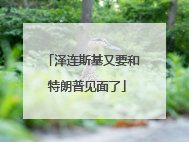 泽连斯基又要和特朗普见面了