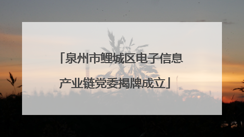 泉州市鲤城区电子信息产业链党委揭牌成立