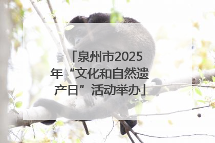 泉州市2025年“文化和自然遗产日”活动举办