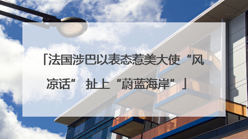 法国涉巴以表态惹美大使“风凉话” 扯上“蔚蓝海岸”